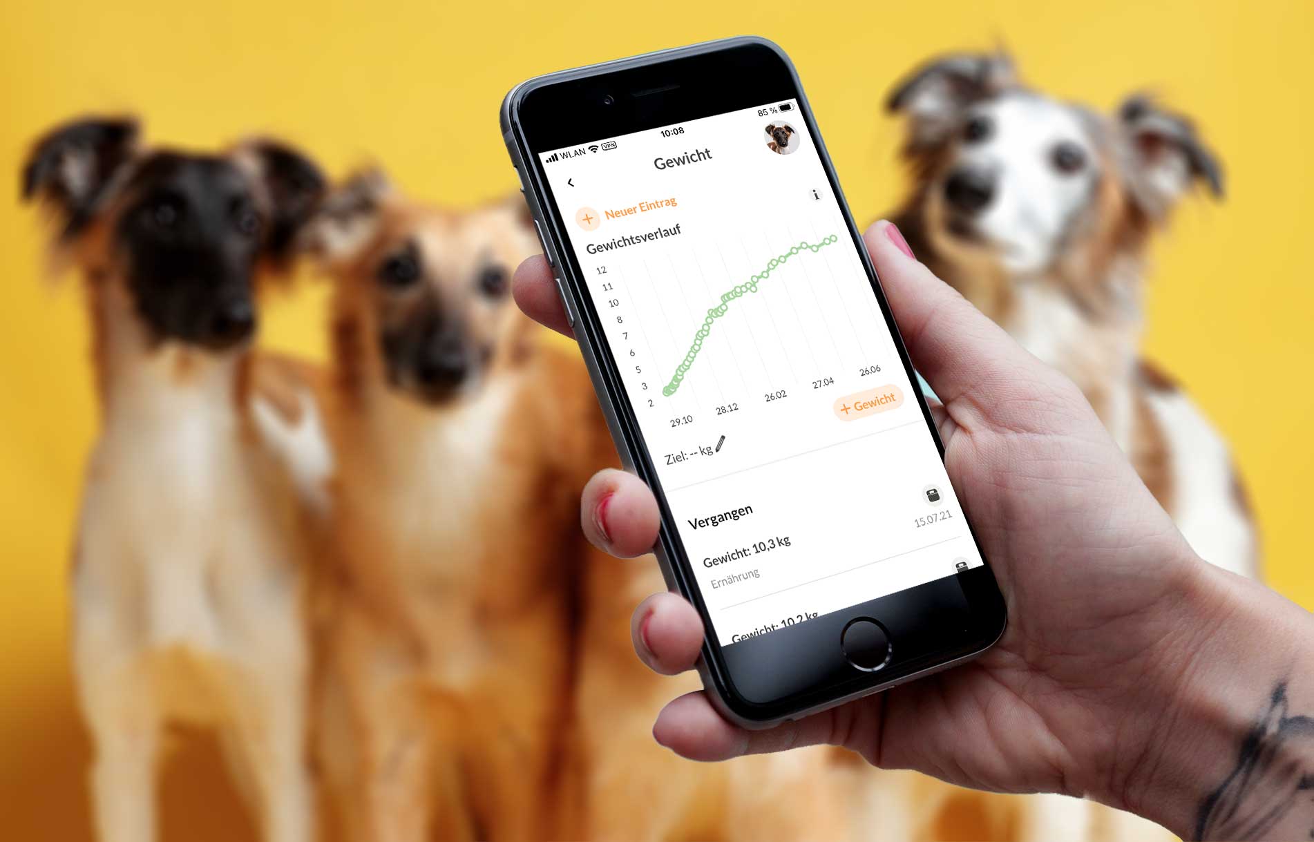 Die 5 besten (kostenlosen) Apps für Hundebesitzer - GoldenMerlo Hundeblog